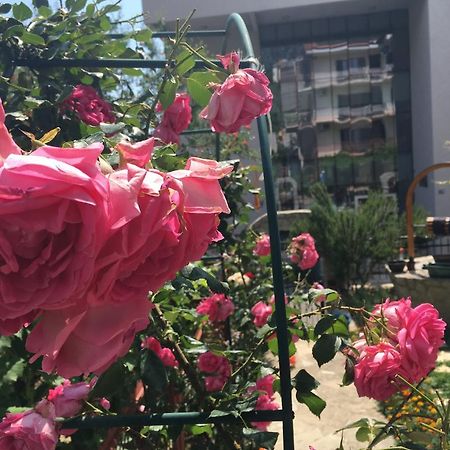 Apartments Milena Tivat Kültér fotó
